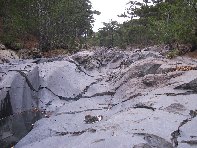 rrente Quarantore-201011107 162